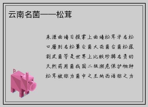 云南名菌——松茸