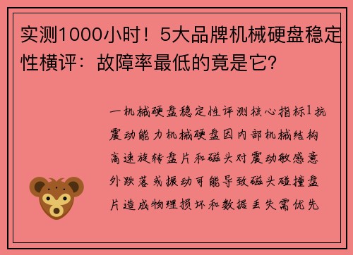实测1000小时！5大品牌机械硬盘稳定性横评：故障率最低的竟是它？