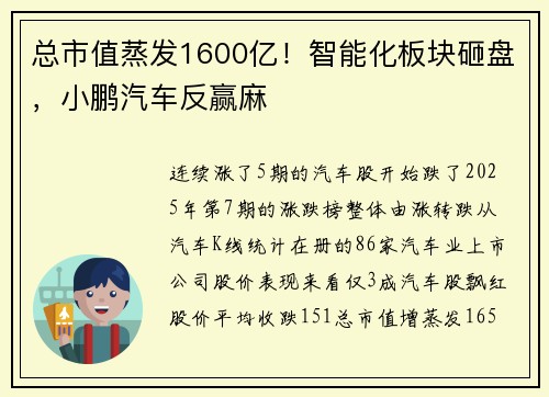 总市值蒸发1600亿！智能化板块砸盘，小鹏汽车反赢麻