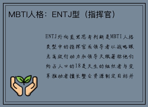 MBTI人格：ENTJ型（指挥官）