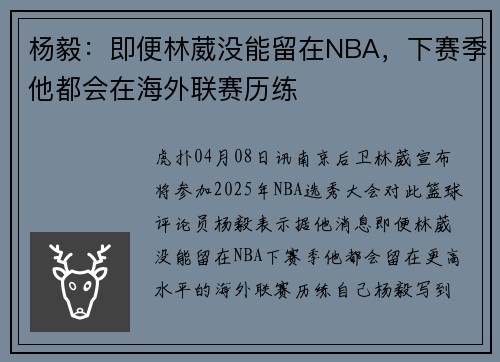杨毅：即便林葳没能留在NBA，下赛季他都会在海外联赛历练