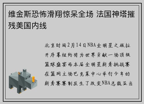 维金斯恐怖滑翔惊呆全场 法国神塔摧残美国内线